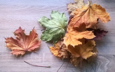 Jesienne prace z&nbsp;liści na&nbsp;każdy dzień tygodnia
