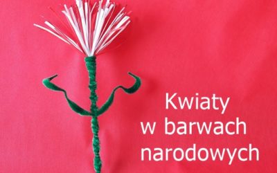 Kwiaty w barwach narodowych