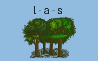 Podział na głoski – ćwiczenia i zabawy rozwijające słuch fonematyczny cz.2