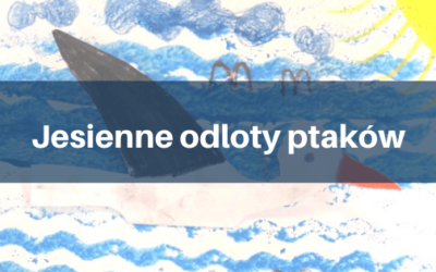 Jesienne odloty ptaków